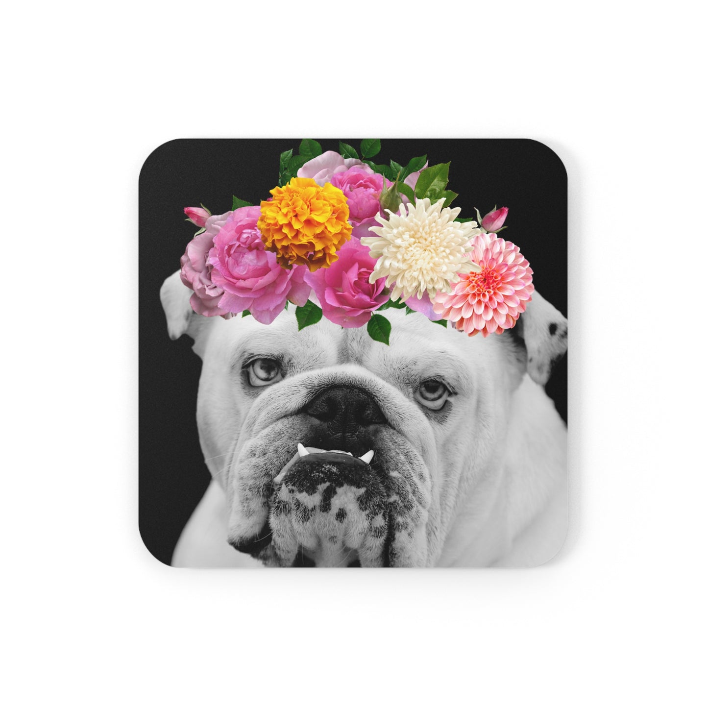 Very Pretty Bulldog Coaster Set